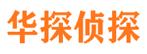 罗城市侦探公司